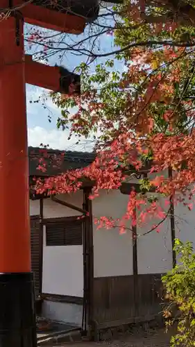 宇治上神社(京都府)