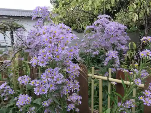 法華寺の自然