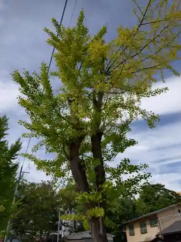 阿邪訶根神社(福島県)