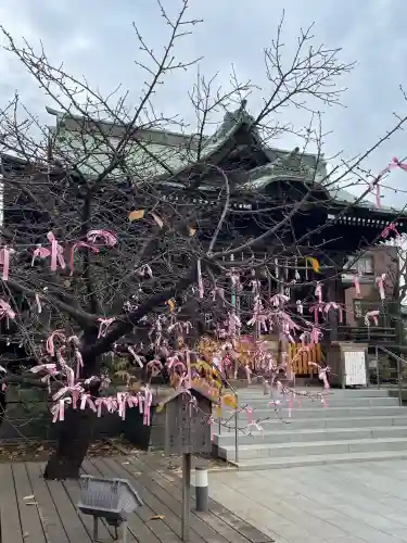 桜神宮(東京都)