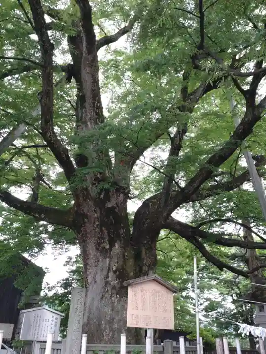 神明宮(石川県)