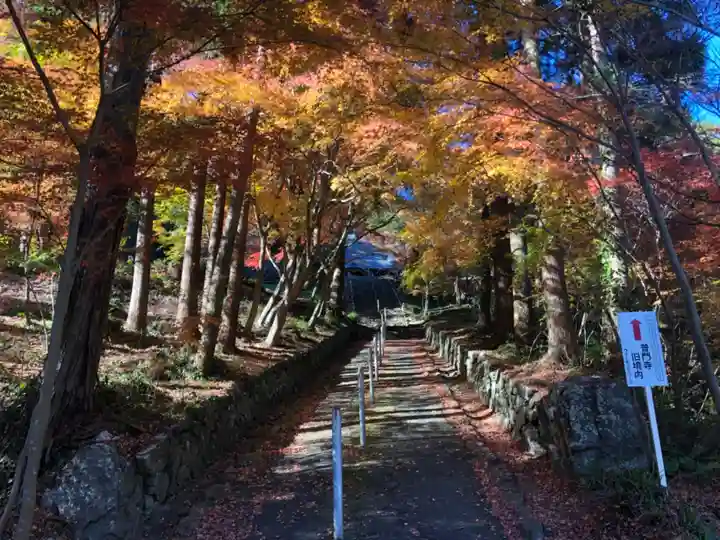 普門寺(切り絵御朱印発祥の寺)(愛知県)