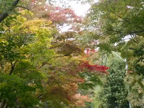 海蔵寺の景色