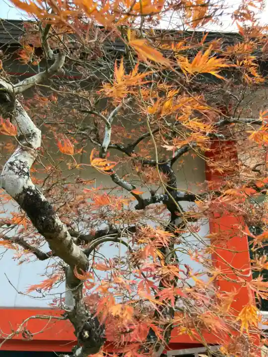 随願寺のその他建物