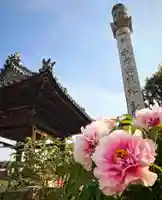 真言宗 善通寺派 薬王寺のその他建物