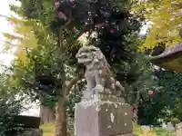 八雲神社の狛犬