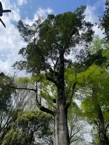 兵主神社(兵庫県)