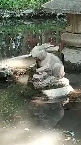 調神社の狛犬