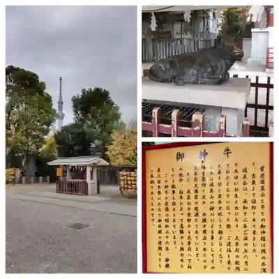 亀戸天神社(東京都)