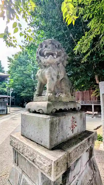 滝野川八幡神社の狛犬