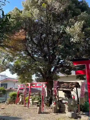 西森稲荷大明神(神奈川県)