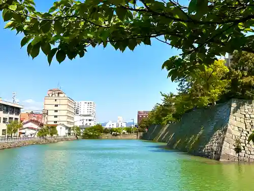 福井神社(福井県)