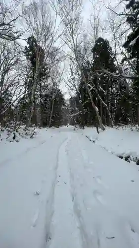 戸隠神社奥社の{uncategorized: "未分類", other: "その他", undefined: "問題あり", building: "その他建物", grave: "お墓", sacred_gate: "鳥居", guardian: "狛犬", statue: "像", buddha: "仏像", history: "歴史", nature: "自然", garden: "庭園", animal: "動物", pagoda: "塔", temizu: "手水舎", mountain_gate: "山門・神門", sanctuary: "本殿・本堂", subordinate: "末社・摂社", art: "芸術", scenery: "景色", jizo: "地蔵", ema: "絵馬", goshuin: "御朱印", omikuji: "おみくじ", items: "授与品その他", amulet: "お守り", goshuincho: "御朱印帳", eats: "食事", festival: "お祭り", votive_dance: "神楽", shichigosan: "七五三参", wedding: "結婚式", experience: "体験その他", initially: "初詣", around: "周辺", anti_infection: "感染症対策"}