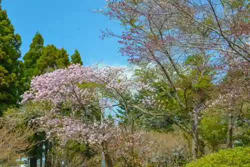 尻岸内八幡神社の御朱印