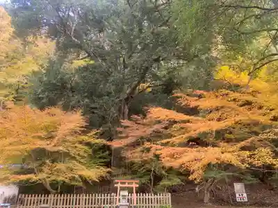 金剛院(京都府)
