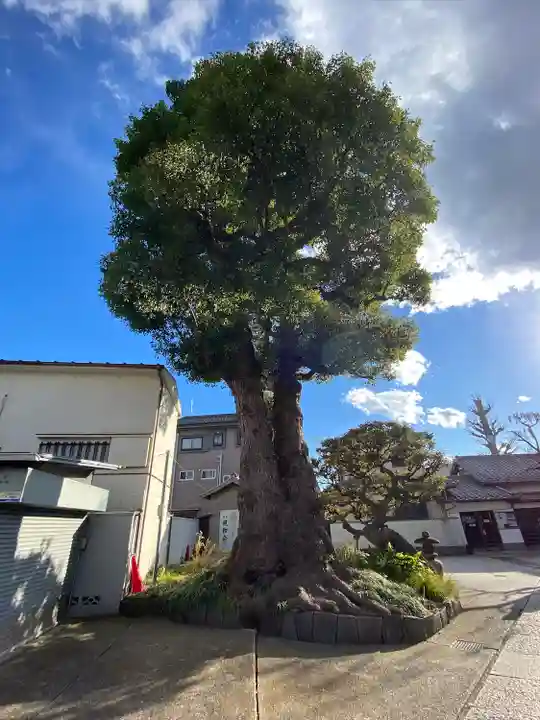 観音寺(東京都)