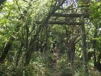 冠ヶ岳の社の鳥居