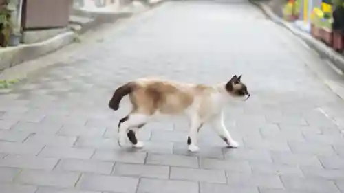 清荒神清澄寺(兵庫県)