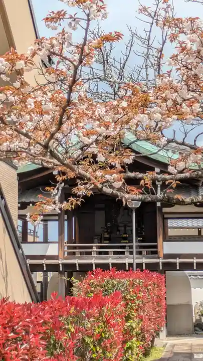清浄華院(京都府)