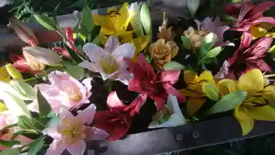 彌彦神社　(伊夜日子神社)の手水舎