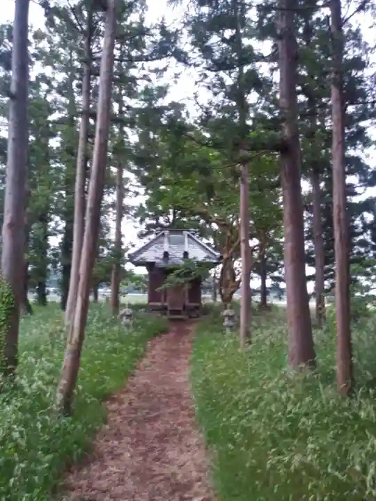 神社(名称不明)の本殿・本堂