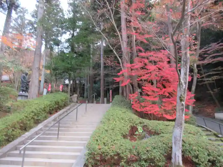 今熊野観音寺のその他建物