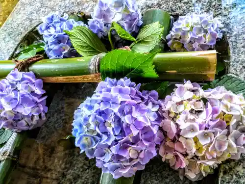熊野神社の手水舎