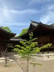 作楽神社の本殿