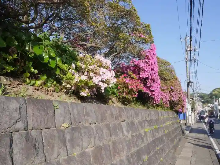 安養院 (田代寺)の自然