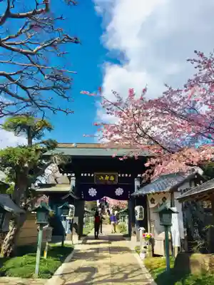 密藏院の山門・神門