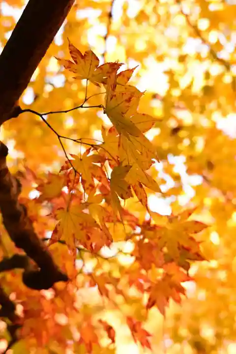詩仙堂(丈山寺)(京都府)