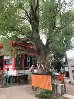 我堂八幡宮(大阪府)