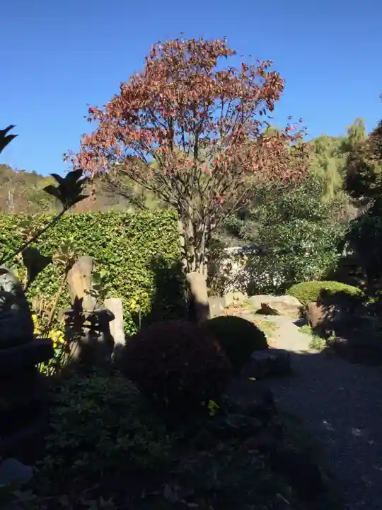 自音寺(群馬県)