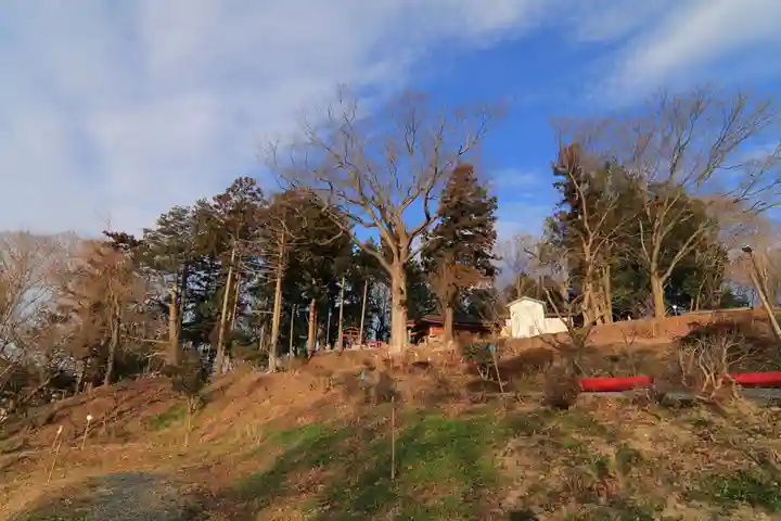 阿久津「田村神社」(郡山市阿久津町)旧社名:伊豆箱根三嶋三社の自然