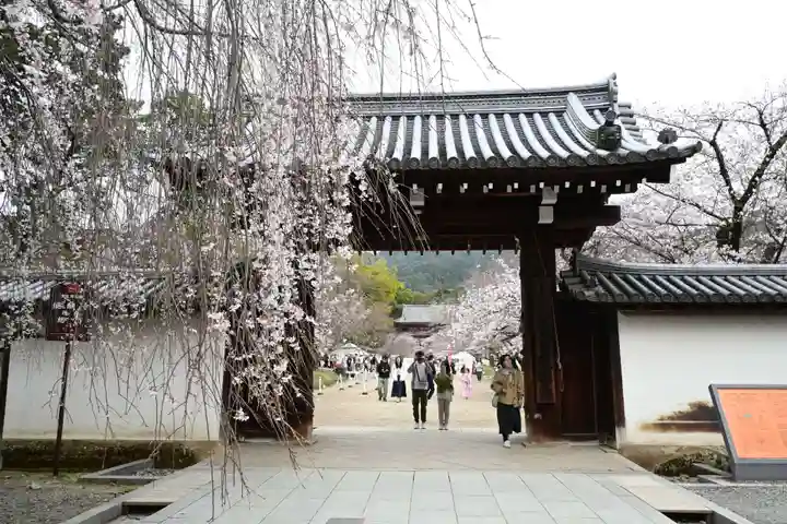 醍醐寺(京都府)
