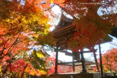 東漸寺(千葉県)