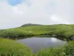 真名井神社の自然