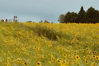 沢山神社（澤山神社)(新潟県)