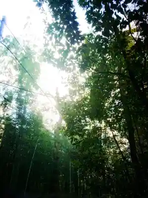 天龍寺のその他建物