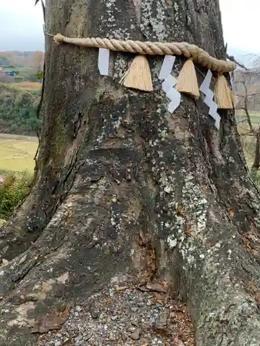 阿久津「田村神社」（郡山市阿久津町）旧社名：伊豆箱根三嶋三社(福島県)