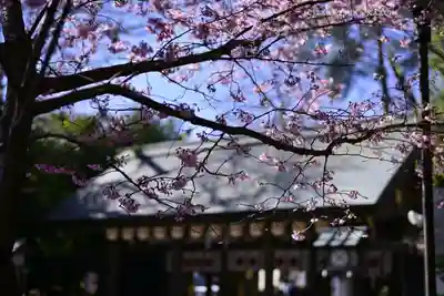 櫻木神社(千葉県)
