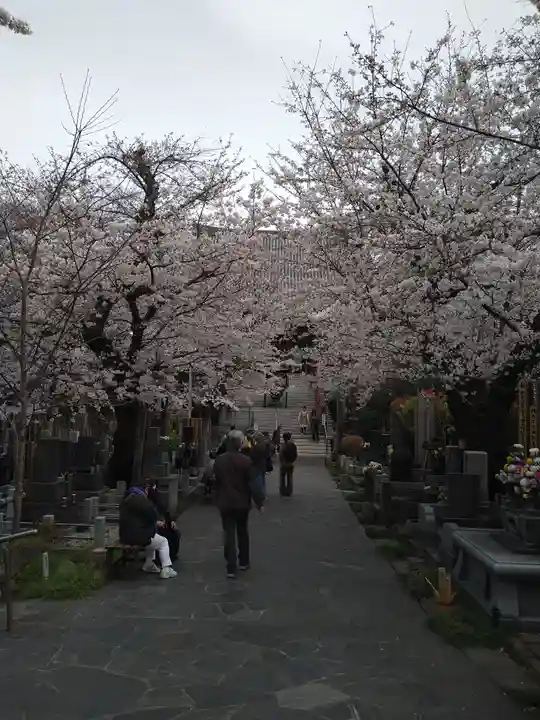 浄心寺(東京都)