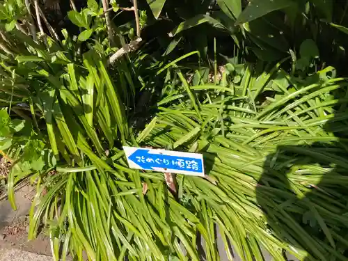 光照寺(神奈川県)