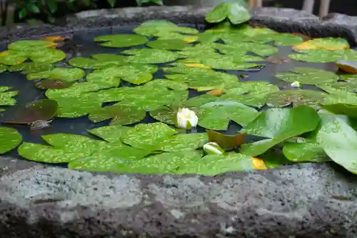 極楽寺（霊鷲山感應院極楽律寺）の自然