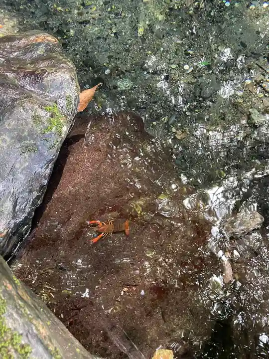 泉神社(茨城県)
