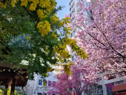 蔵前神社(東京都)