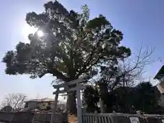 志筑別神社(兵庫県)