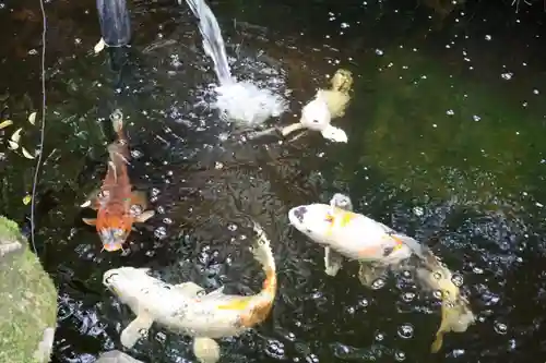 秩父御嶽神社(埼玉県)