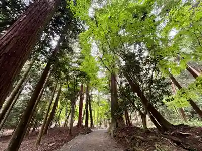 日吉大社(滋賀県)