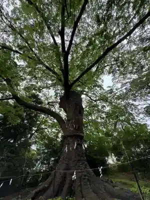 愛宕神社(福島県)